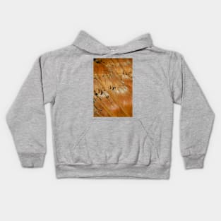 Red Rock Orange Slope, Bryce Canyon National Park Kids Hoodie